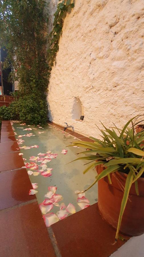 Casa Bambu Διαμέρισμα Γρανάδα Εξωτερικό φωτογραφία