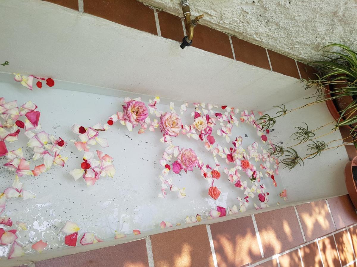 Casa Bambu Διαμέρισμα Γρανάδα Εξωτερικό φωτογραφία